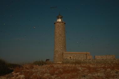 Πρασούδα Εύβοιας