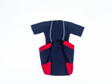 ΕΠΕΝΔΥΤΗΣ (ΣΑΓΙΑΣ) ΠΑΡΑΔΟΣΙΑΚΗΣ ΦΟΡΕΣΙΑΣ ΕΠΙΣΚΟΠΗΣ ΝΑΟΥΣΑΣ ΠΑΙΔΙΚΟΣ