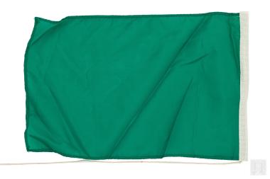 Πράσινο σημαιάκι