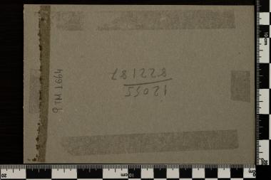 Ποιμένας, Γ. Φυτάλης