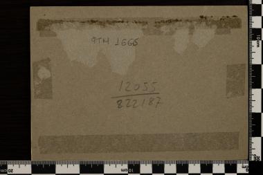 Κολοκοτρώνης, Λ. Σώχος