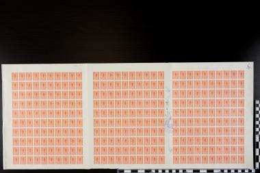 Κυνήγι Κάπρου