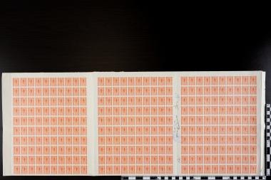 Κυνήγι Κάπρου