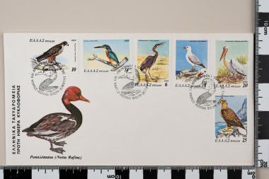 Σπάνια και απειλούμενα πτηνά της Ελλάδος