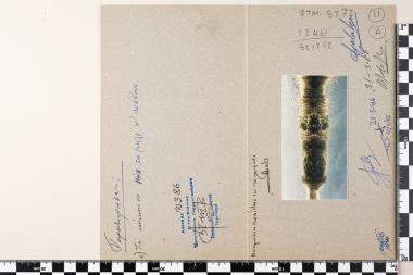 CEPT - Προστασία Περιβάλλοντος