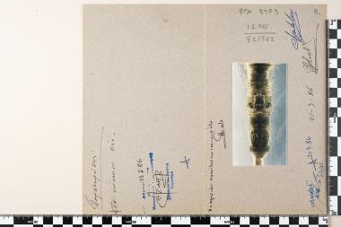 CEPT - Προστασία Περιβάλλοντος