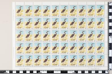 Σπάνια και απειλούμενα πτηνά της Ελλάδος