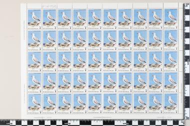 Σπάνια και απειλούμενα πτηνά της Ελλάδος