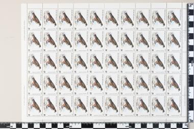 Σπάνια και απειλούμενα πτηνά της Ελλάδος