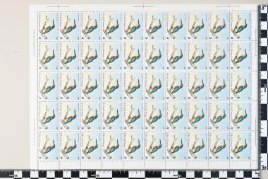 Σπάνια και απειλούμενα πτηνά της Ελλάδος