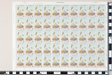 Σπάνια και απειλούμενα πτηνά της Ελλάδος