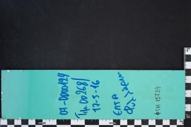 2400 χρόνια από την γέννηση του Αριστοτέλη