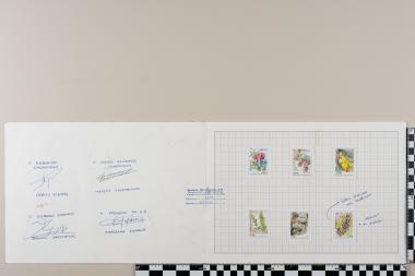 Ανθισμένα βότανα της Ελληνικής γης