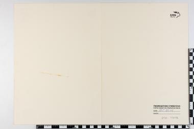 Δομήνικος Θεοτοκόπουλος - 400 χρόνια από τον θάνατό του