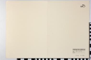 8 Μαρτίου, Παγκόσμια Ημέρα Γυναικών