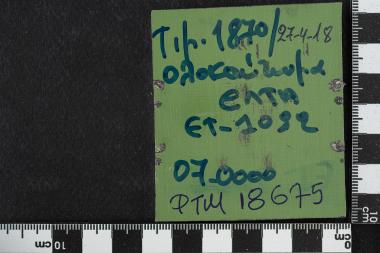 Ολοκαύτωμα Ελλήνων Εβραίων