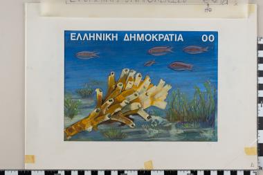 Μικροσκοπικά ζώα και φυτά των Ελληνικών Θαλασσών