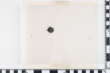 Εθνική Συμφιλίωση