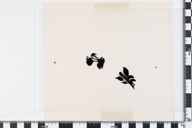 Εθνική Συμφιλίωση