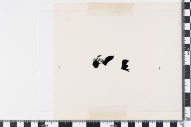 Εθνική Συμφιλίωση