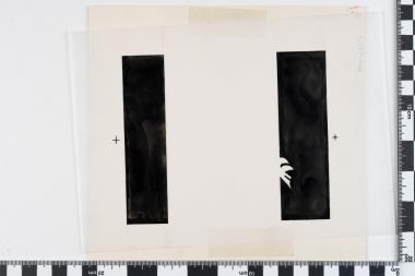 Εθνική Συμφιλίωση