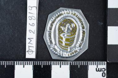Παγκόσμιο Πρωτάθλημα Καλαθοσφαίρισης ανδρών 1998