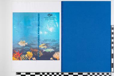 Διεθνές έτος Ωκεανού