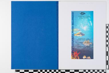 Διεθνές έτος Ωκεανού