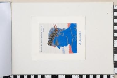 Ολυμπιακοί Αγώνες Ελλάδος Αθήνα 2004, Οι Νικητές, Φασιανός