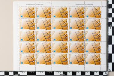 Ολυμπιακοί Αγώνες Ελλάδος Αθήνα 2004, Όργανα Αθλημάτων, Τσόκλης