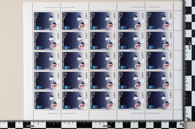 Ολυμπιακοί Αγώνες Ελλάδος Αθήνα 2004, Όργανα Αθλημάτων, Τσόκλης