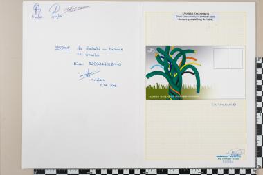 Ευρωπαϊκή Ένωση Europa CEPT 2006-Ενσωμάτωση μειονοτήτων