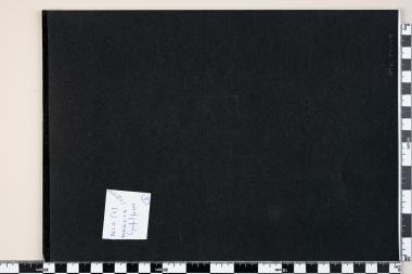 Ευρωπαϊκή Ένωση Europa CEPT 2006-Ενσωμάτωση μειονοτήτων