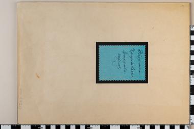 Γράμμος - Βίτσι