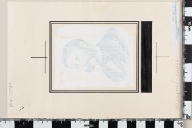 Εκατονταετηρίδα Ερυθρού Σταυρού