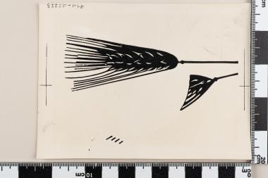 Αγώνας κατά της πείνας