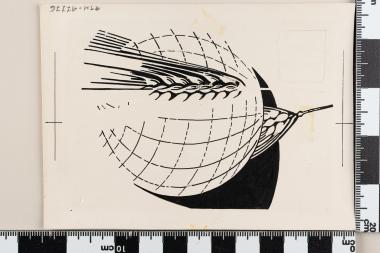 Αγώνας κατά της πείνας