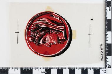 Αγώνας κατά της πείνας