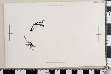 Προστασία της Φύσεως