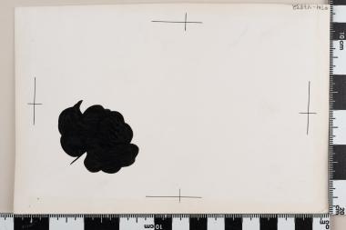 Προστασία της Φύσεως