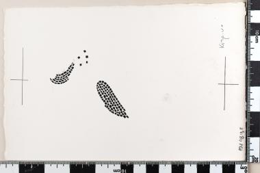 Ελληνική Τέχνη των ψηφιδωτών