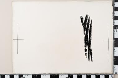 Ευρωπαϊκό Έτος Προστασίας της Φύσεως