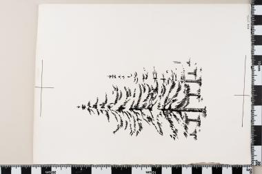 Ευρωπαϊκό Έτος Προστασίας της Φύσεως