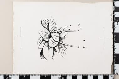 Ευρωπαϊκό Έτος Προστασίας της Φύσεως