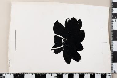 Ευρωπαϊκό Έτος Προστασίας της Φύσεως