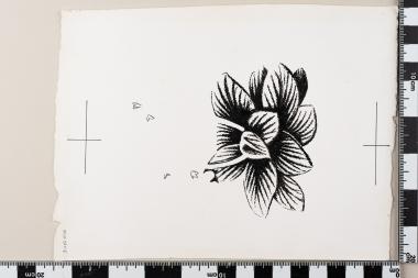 Ευρωπαϊκό Έτος Προστασίας της Φύσεως