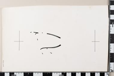 Ευρωπαϊκό Έτος Προστασίας της Φύσεως