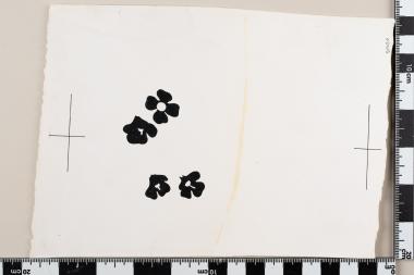 Ευρωπαϊκό Έτος Προστασίας της Φύσεως