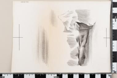 Ευρωπαϊκό Έτος Προστασίας της Φύσεως