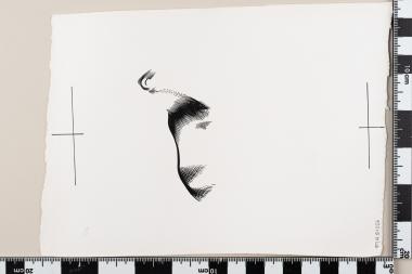 Ευρωπαϊκό Έτος Προστασίας της Φύσεως